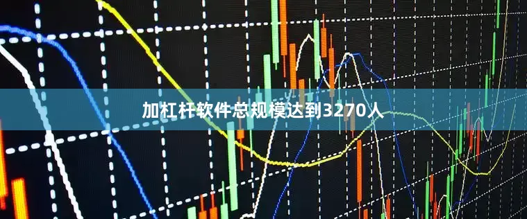 加杠杆软件总规模达到3270人