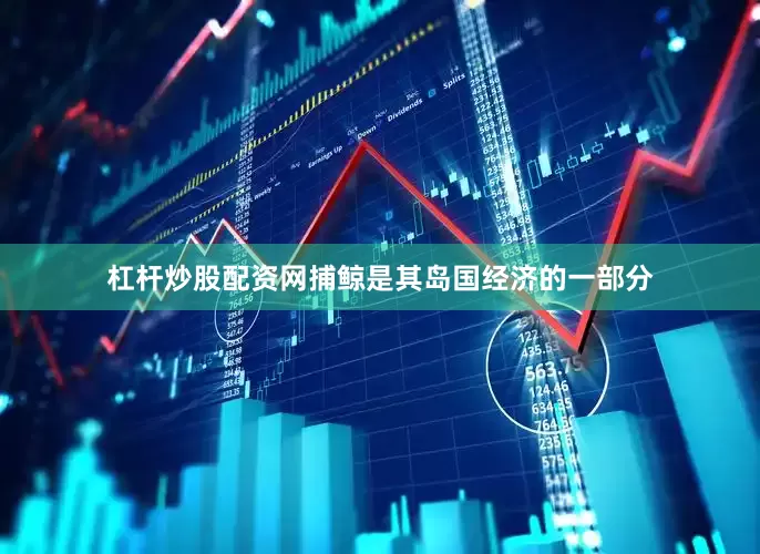 杠杆炒股配资网捕鲸是其岛国经济的一部分
