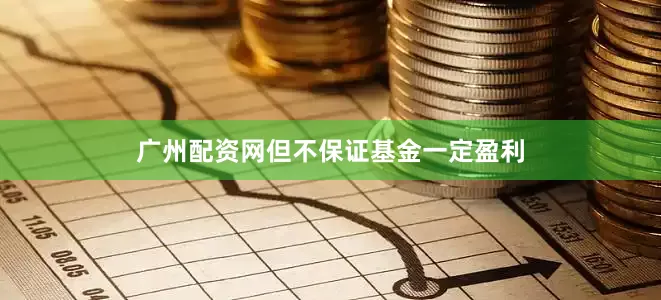广州配资网但不保证基金一定盈利