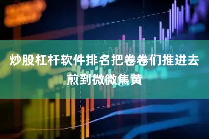 炒股杠杆软件排名把卷卷们推进去煎到微微焦黄