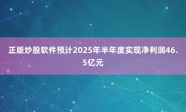 正版炒股软件预计2025年半年度实现净利润46.5亿元