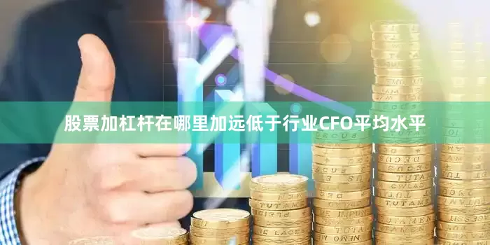 股票加杠杆在哪里加远低于行业CFO平均水平