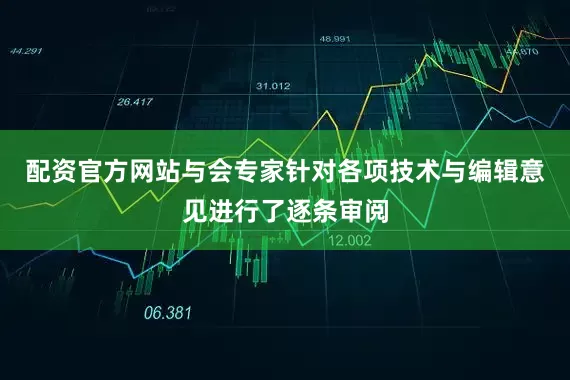 配资官方网站与会专家针对各项技术与编辑意见进行了逐条审阅