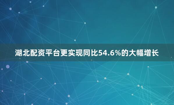 湖北配资平台更实现同比54.6%的大幅增长