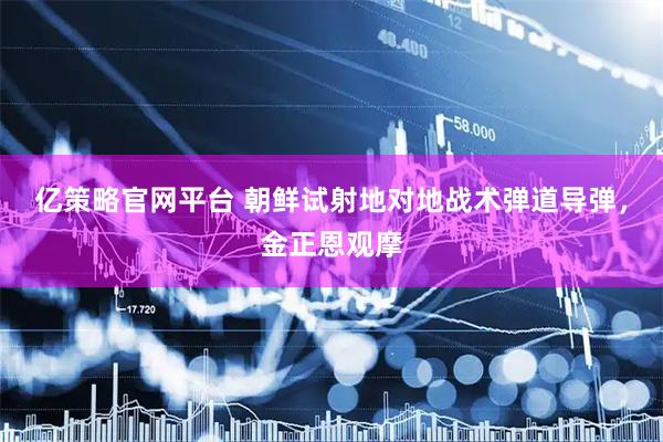 亿策略官网平台 朝鲜试射地对地战术弹道导弹，金正恩观摩