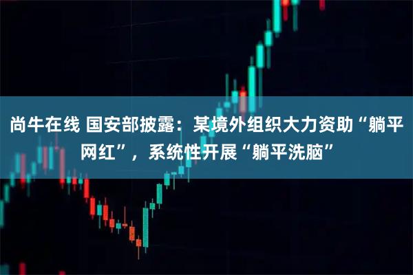 尚牛在线 国安部披露：某境外组织大力资助“躺平网红”，系统性开展“躺平洗脑”